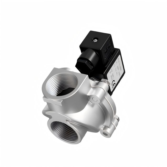 Vanne à impulsions DMF-Z-20